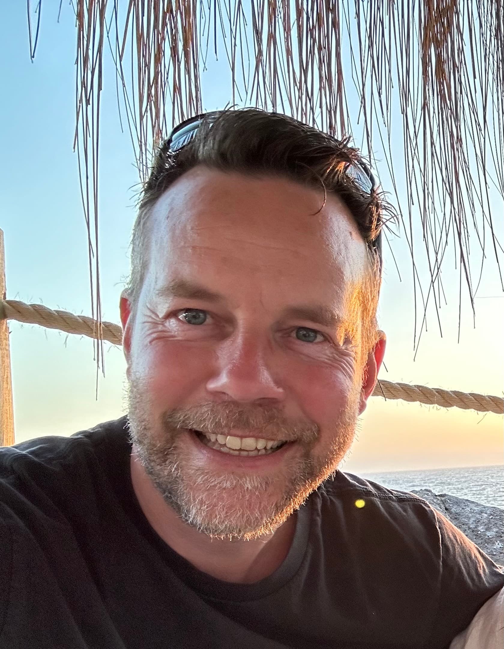 Professional profile